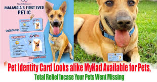 The new deadline for filing income tax returns in malaysia is now 30 june 2020 for resident individuals who do not carry on a business and 30 august 2020 this comes as welcome news as the country's lockdown has affected millions of malaysians with most businesses closed temporarily and the. Pet Identity Card Looks Alike Mykad Available For Pets Total Relief Incase Your Pets Went Missing Everydayonsales Com News