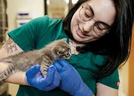 2019 GRATITUDE REPORT