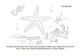 Set off fireworks to wish amer. Ocean Animals Printable Coloring Pages For Kids 4