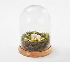 We did not find results for: 14 5 Illuminated Mercury Glass Apothecary Jar By Valerie Qvc Com