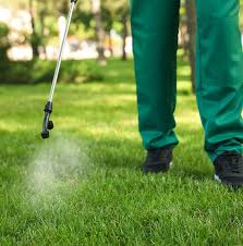 Home | Diamond Pest Control