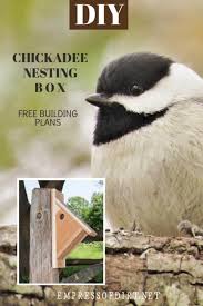 Birds That Make Mud Nests On Houses Make A Chickadee Nesting Box Free Plans Empress Of Dirt Bird House Plans Bird Houses Bird House Plans Free