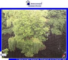 Jetzt wohnung mieten mit 4 bis 4,5 zimmer! 4 Zimmer Wohnung Lichtenbusch Mieten Homebooster