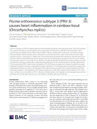 Learn more about myocarditis or inflammation of heart muscles, possible causes, symptoms, treatment, personal experiences. Pdf Piscine Orthoreovirus Subtype 3 Prv 3 Causes Heart Inflammation In Rainbow Trout Oncorhynchus Mykiss