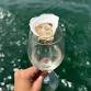 Just Added! Wine Sail In Portland, Maine: Wine ...