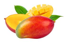 Education - Mango.org
