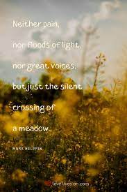 Pin On Funeral Quotes Inspirational