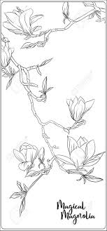 Sometimes the colors are perfect in tune with the symbolical meaning of a flower, but other times they give it a completely different meaning and symbolism. Magnolia Tree Branch With Flowers Coloring Page For The Adult Royalty Free Cliparts Vectors And Stock Illustration Image 133930263