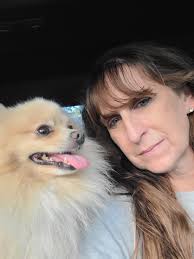 Bubba has gone missing, he is about 3.5y/o, he's a long haired  golden/blonde Pomeranian and he is microchipped. bubba was last seen in the  Green Meadows mobile home park in London, OH.