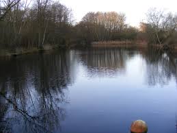 sinks pit, kesgave  adrian cable