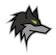 Dark Wolf Solutions
