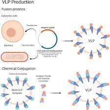 Maybe you would like to learn more about one of these? Frontiers Emerging Concepts And Technologies In Vaccine Development Immunology