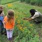 Intergenerational Wild Food Walk + Kids Free Play