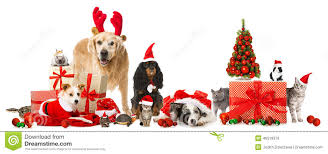 [Image: images?q=tbn:ANd9GcQi9v6TED_JojUQZa7jsgy...6VlJoTccPS]