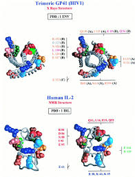 On savait déjà que des chimpanzés avaient transmis deux souches du virus du sida (vih) à l'homme. Molecular Mimicry Between The Trimeric Ectodomain Of The Transmembrane Protein Of Immunosuppressive Lentiviruses Hiv Siv Fiv And Interleukin 2 Sciencedirect