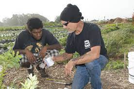 What We Do Garden Projects Santa Cruz Cruz