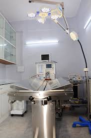 We have resolved to take definitive. Advanced Pet Care Facility I Lbb Kolkata