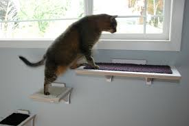 For the perch you need: Hawthorne Cat Climbing Shelf Cat Stairs For Wall Sqaure Cat Habitat