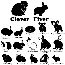 Black And White Bunny Names Custom Rabbit Decals With Names Rabbit Breeds Pet Bunny Rabbit Pictures