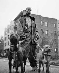 Download the best music+dmx wallpapers free. Dmx Dog Wallpaper Kolpaper Awesome Free Hd Wallpapers