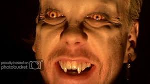 VAMPIRES DON'T SPARKLE