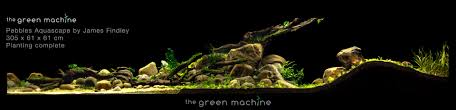 Legendary among aquarists, takashi amano is one of the biggest names in the aquascaping industry. Aquascape By James Findley Pebbles In The Footsteps Of A Giant Aquascape Art The Green Machine
