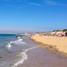 Check spelling or type a new query. Provincetown Massachusetts Kikipedia