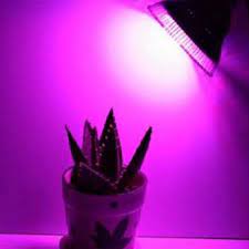 The most important factors to consider when choosing a grow light for a 2x4 foot grow tent are the light intensity and uniform coverage area of the lights. 24w Led Grow Plantlight Growlight Full Spectrum E27 Smd