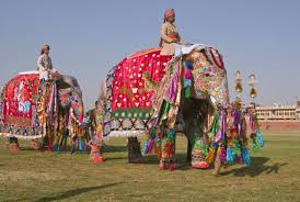 A dalit groom sits on a buggy and his relatives ride on horses, camels and an elephant during a wedding in bhilwara and some parts of alwar and jaipur, dalit grooms have been assaulted for riding mares during weddings. Elephant Festival In Jaipur To Be Celebrated On March 10 Times Of India Travel