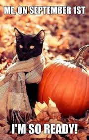 images?q=tbn:ANd9GcQiA9Oe54Vv1NG71wDRC4vsijEcoSvhcxndZw&s