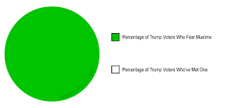 6 Pie Charts That Summarize The 2016 Election Innoculous Com