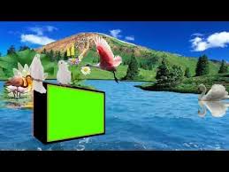 Decoratorsbest.com has been visited by 10k+ users in the past month Green Screen Video Background Images Hd