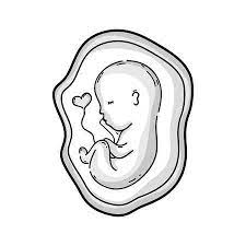 We did not find results for: Outline Drawing Of Unborn Baby With Umbilical Cord Inside The Uterus Baby Drawing Outline Drawings Baby Girl Drawing