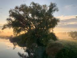 Here is an alphabetical list of english counties: Things To Do In Norwich With Kids Plum Guide