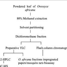 Image result for Oreosyce africana