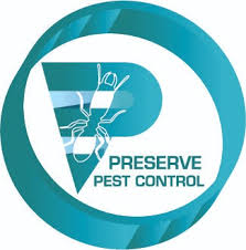 33, jalan serendah 26/41, sekitar 26, seksyen 26, 40400 shah alam, selangor, malaysia pestfree.malaysia@anticimex.com.my. Renoplus