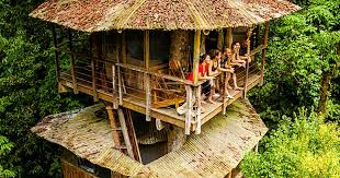 Maybe you would like to learn more about one of these? Costa Rica S Top Treehouse Ecolodges Photos James Kaiser