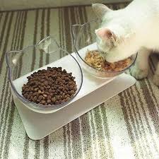 Anti Vomiting Orthopedic Cat Bowl In 2020 Cat Food Dish Cat Food Bowl Cat Bowls