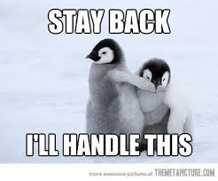 These Hilarious Penguin Memes Will Have You Laughing All Day Penguins Funny Baby Penguins Cute Penguins