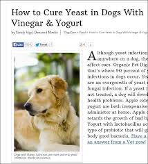 Pin By Kathy L On Dog Dog Yeast Infection Dog Yeast Infection Skin Yeast In Dogs