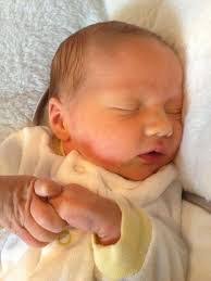 Avery Dodson's Instagram, Twitter & Facebook