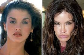 Janice Dickinson Then And Now Ridiculously Extraordinary Janice Dickinson Then And Now Photos Bill Cosby