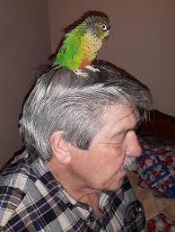 Brian Lupton Obituary (1944