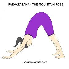Parvatasana The Mountain Pose Mountain Pose Yoga Mountain Pose Yoga Poses