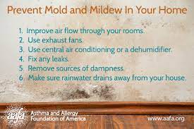 Mold Allergy Symptoms Prevention And Treatment Aafa Org