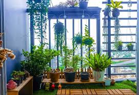 Burada önemli olan saksının derinliği, genişliği ve iyi bir drenaja sahip olmasıdır. Balkon Bahceciligi Guzel Yasa