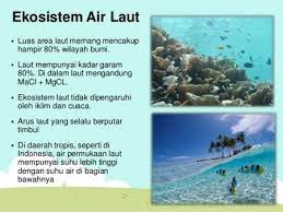 Ekosistem Air Laut Fakta Jenis Serta Manfaatnya Postmedya