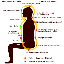 Microcosmic Circulation Gif 600 597 Fitnessubungen Qui Gong Joga