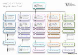Photo Art Print Organization Chart Vector Graphics