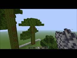 Minecraft Java Edition - Dark Oak Trees Are Not Growing Even Though All  Requirements Are Met - Arqade